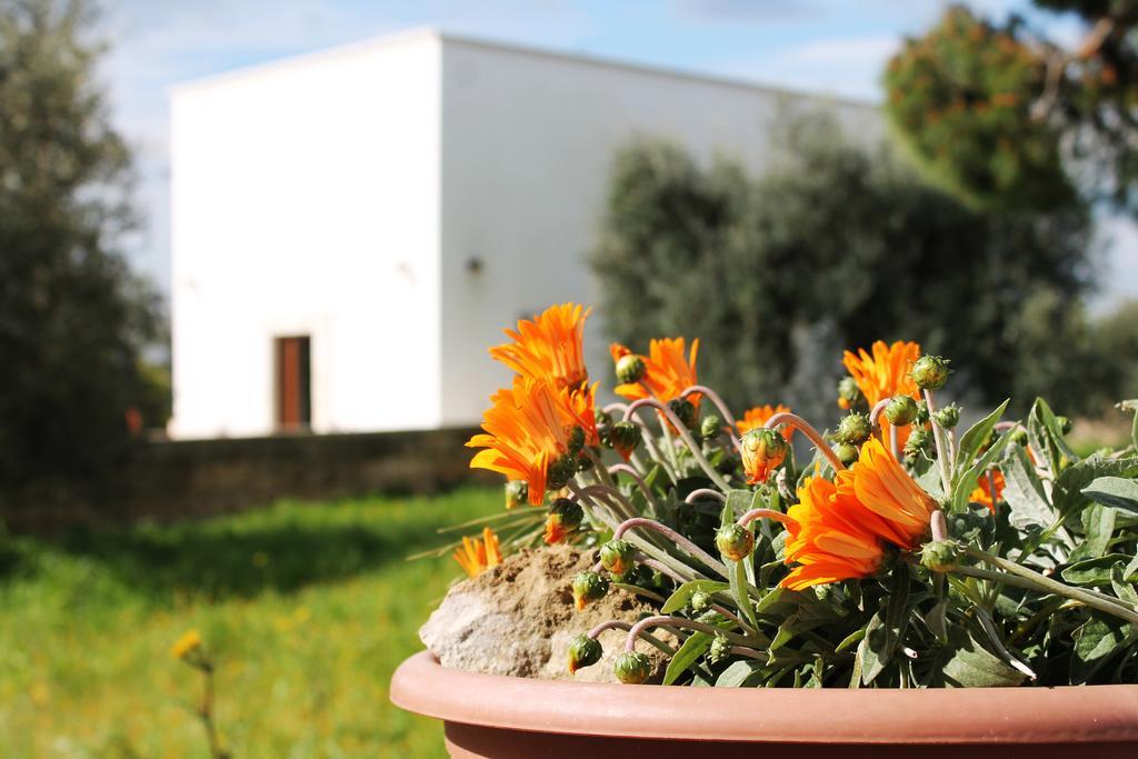 Masseria Marico Castellaneta Bilik gambar