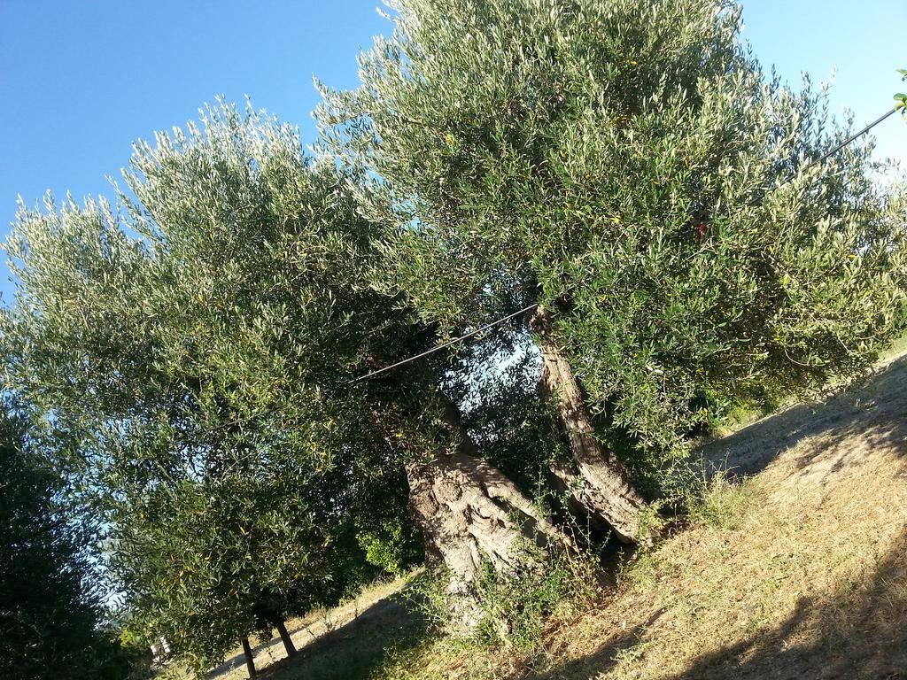 Masseria Marico Castellaneta Luaran gambar